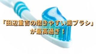騙されたと思って使ってみた 田辺重吉の磨きやすい歯ブラシ が最高過ぎた 旅好き夫婦のゆるゆる生活ブログ