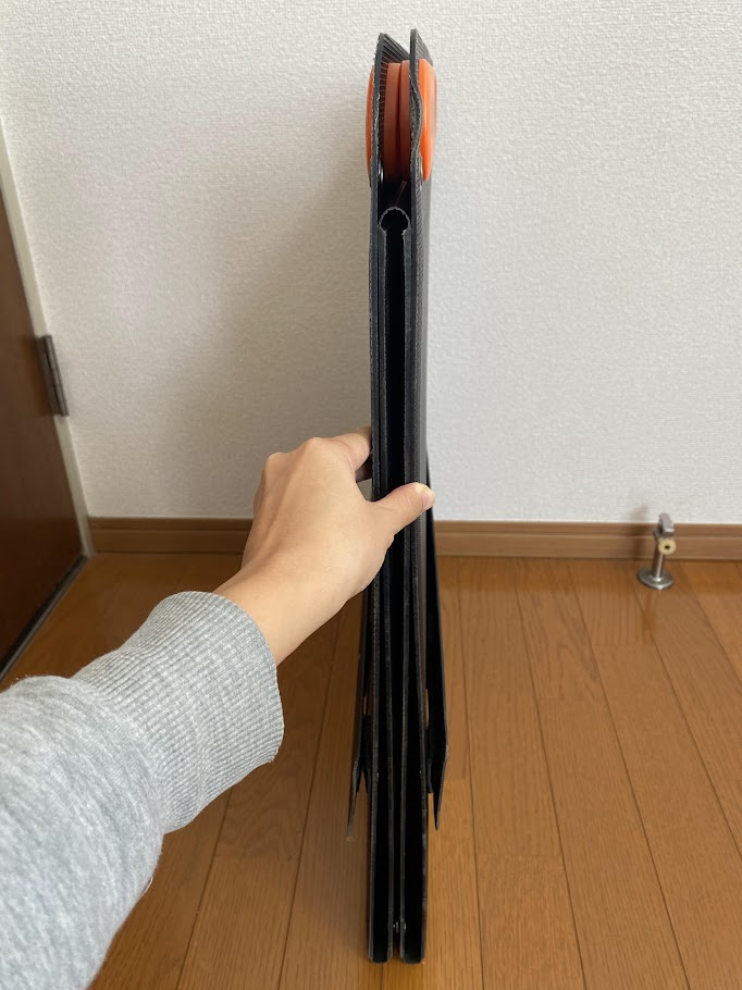 Jackery SolarSaga 200Wを持った様子